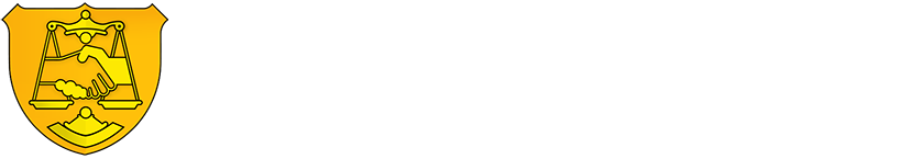 NationalAcademyLogo